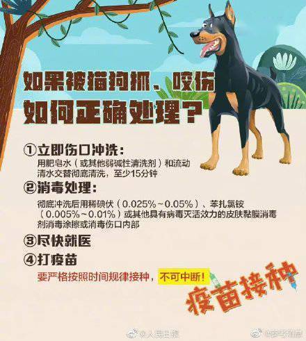 狂犬病一旦发病病死率几乎为100%！关于狂犬病，这些你要知道 (图5)