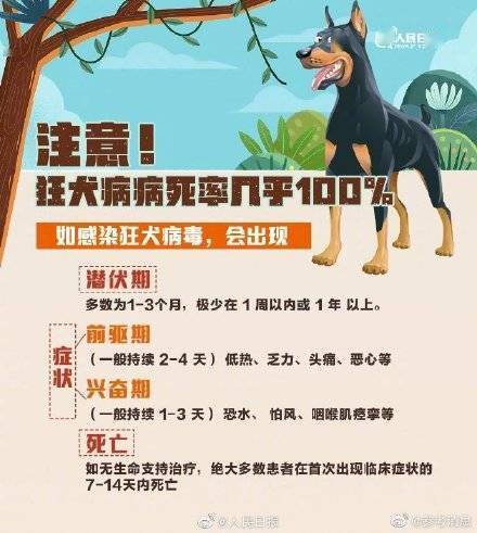 狂犬病一旦发病病死率几乎为100%！关于狂犬病，这些你要知道 (图4)