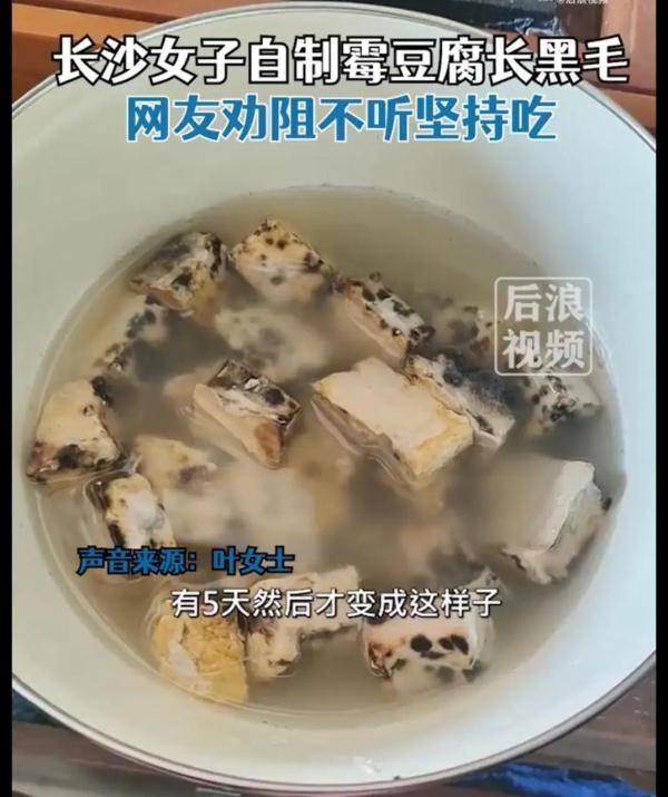 女子自制霉豆腐长出黑毛仍继续食用，网友纷纷劝阻！医生提醒→ (图1)