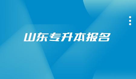 2023年山东专升本考试网上报名平台zsb.sdzk.cn(图1)