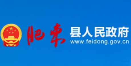 肥东县人民政府网官网www.feidong.gov.cn