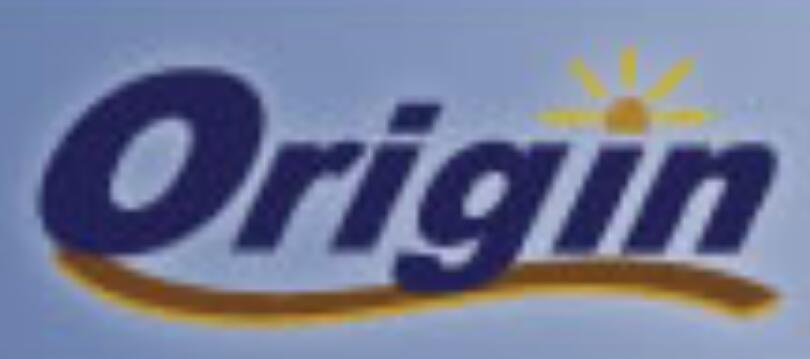 上海元初國際物流有限公司SHANGHAI ORIGIN INTERNATIONAL LOGISTICS CO., LTD.(图1)