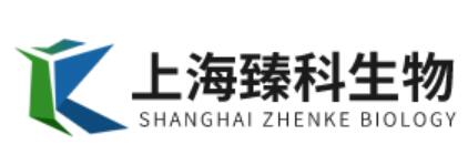 上海臻科生物科技有限公司 Shanghai Zhen Ke Biological Technology Co., Ltd.(图1)