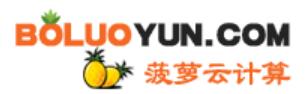 菠萝云-香港VPS,香港云主机