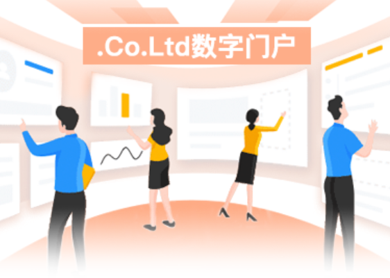 .Co.Ltd数字门户www.co.ltd