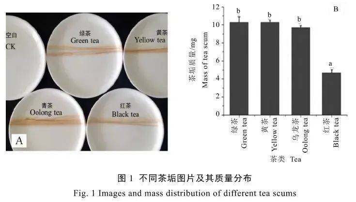 喝有水垢的水伤身? 长期喝会肾结石? 茶垢不洗会致癌? 真相 (pic5) 喝有水垢的水伤身? 长期喝会肾结石? 茶垢不洗会致癌? 真相 (pic5)