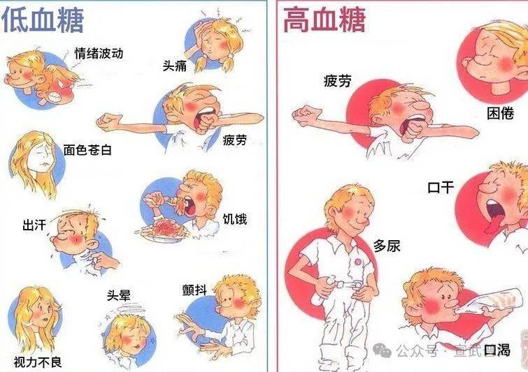 为什么吃完饭后会感到困倦? (pic2) 为什么吃完饭后会感到困倦? (pic2)
