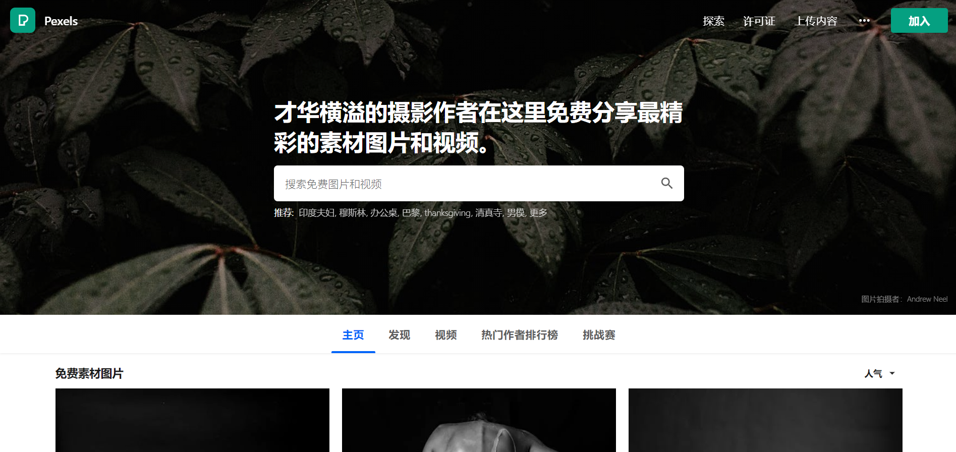 Pexels官网www.pexels.com海量共享图片网站(pic1)
