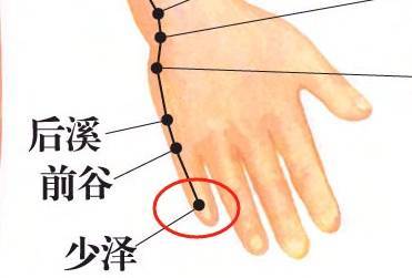 1穴顶19穴！把小拇指这里按红，活气血、通经络、调头痛耳鸣！ (pic1)