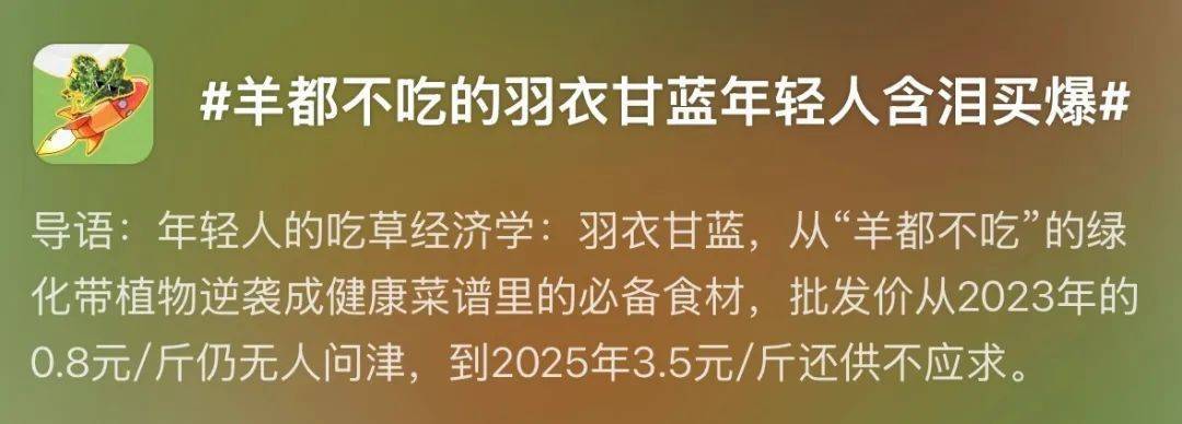 羊都不吃的羽衣甘蓝,被年轻人“含泪买爆”!吃了真能减肥? (pic1) 羊都不吃的羽衣甘蓝,被年轻人“含泪买爆”!吃了真能减肥? (pic1)