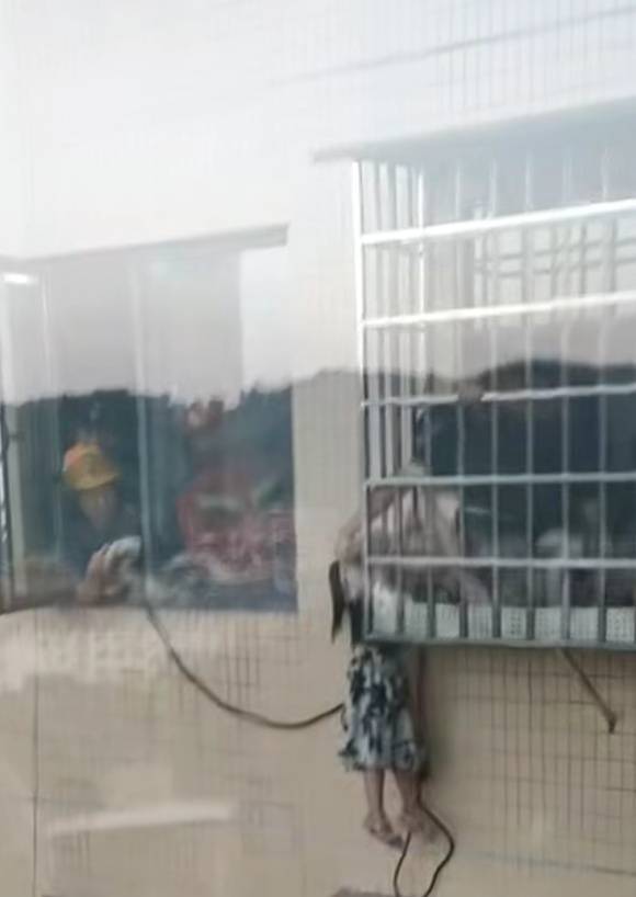 湖南4岁女童从20楼坠至13楼雨棚,14楼邻居死死拽住!苦撑4分钟终救下 (pic2) 湖南4岁女童从20楼坠至13楼雨棚,14楼邻居死死拽住!苦撑4分钟终救下 (pic2)