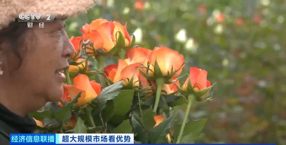 世界之最!这个超大规模市场,加速狂飙→ (pic2) 世界之最!这个超大规模市场,加速狂飙→ (pic2)