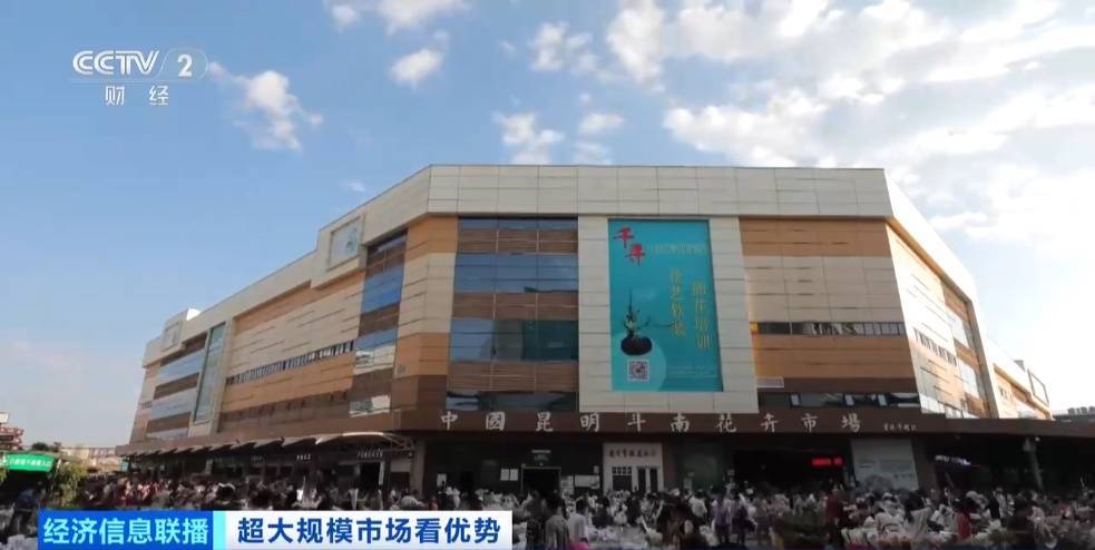世界之最!这个超大规模市场,加速狂飙→ (pic8) 世界之最!这个超大规模市场,加速狂飙→ (pic8)