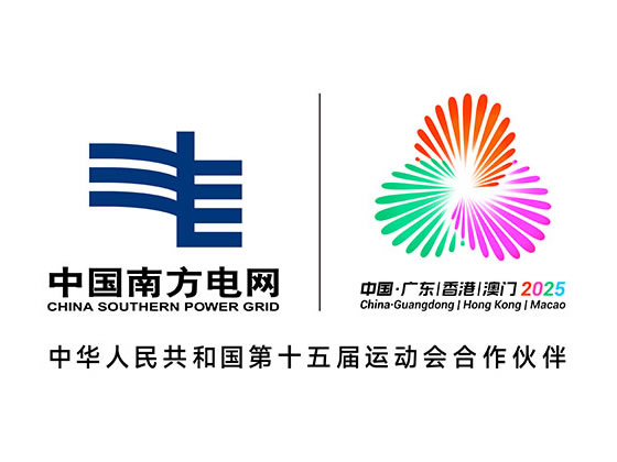 中国南方电网-中国南方电网有限责任公司