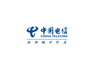 中国电信集团有限公司
