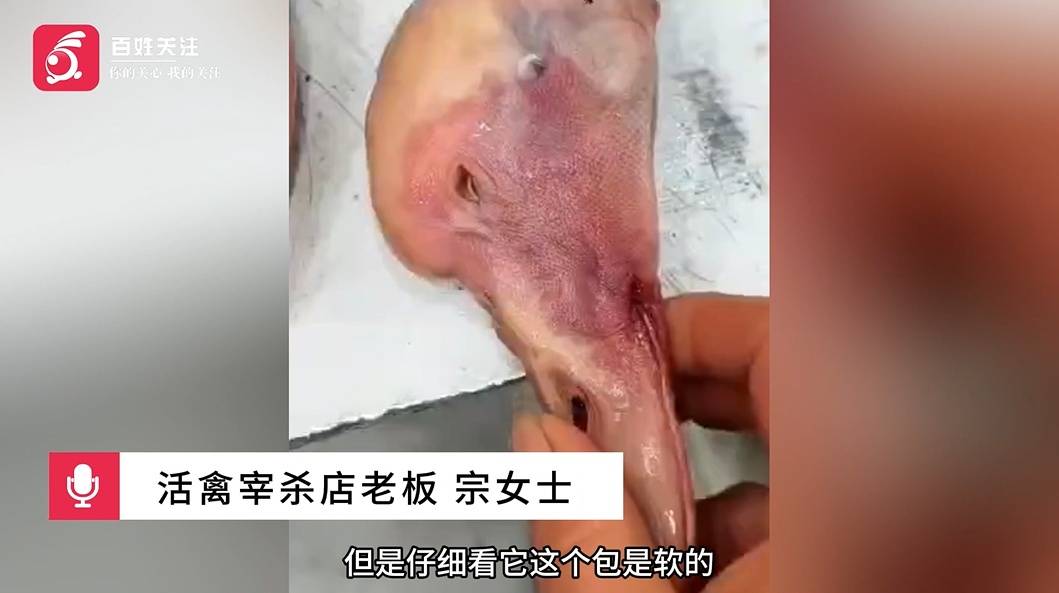 挂鹅头卖鸭肉？顾客买到两只假大鹅：不仔细看都看不出来 (pic2)