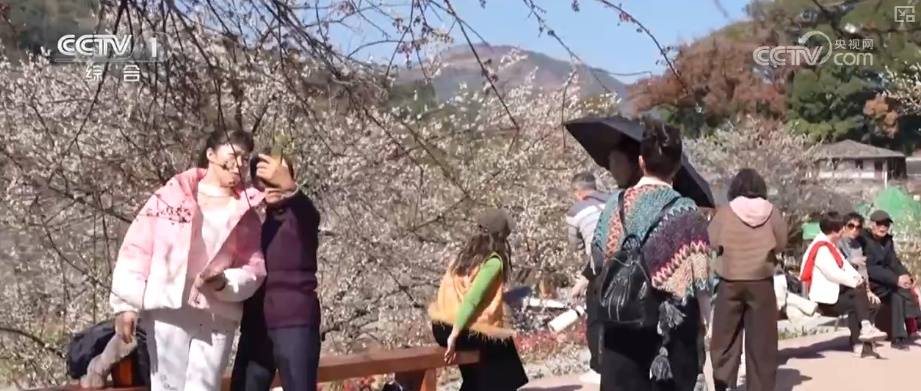 “土味消费”圈粉!特色乡村文旅点燃经济热引擎 为振兴开局注入蓬勃新动能 (pic7) “土味消费”圈粉!特色乡村文旅点燃经济热引擎 为振兴开局注入蓬勃新动能 (pic7)