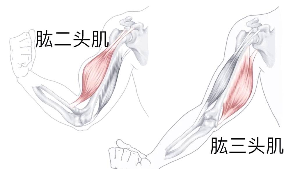 杭州九旬奶奶长出“大肌肉”，家人以为是癌，结果发现......是断了！ (pic3)