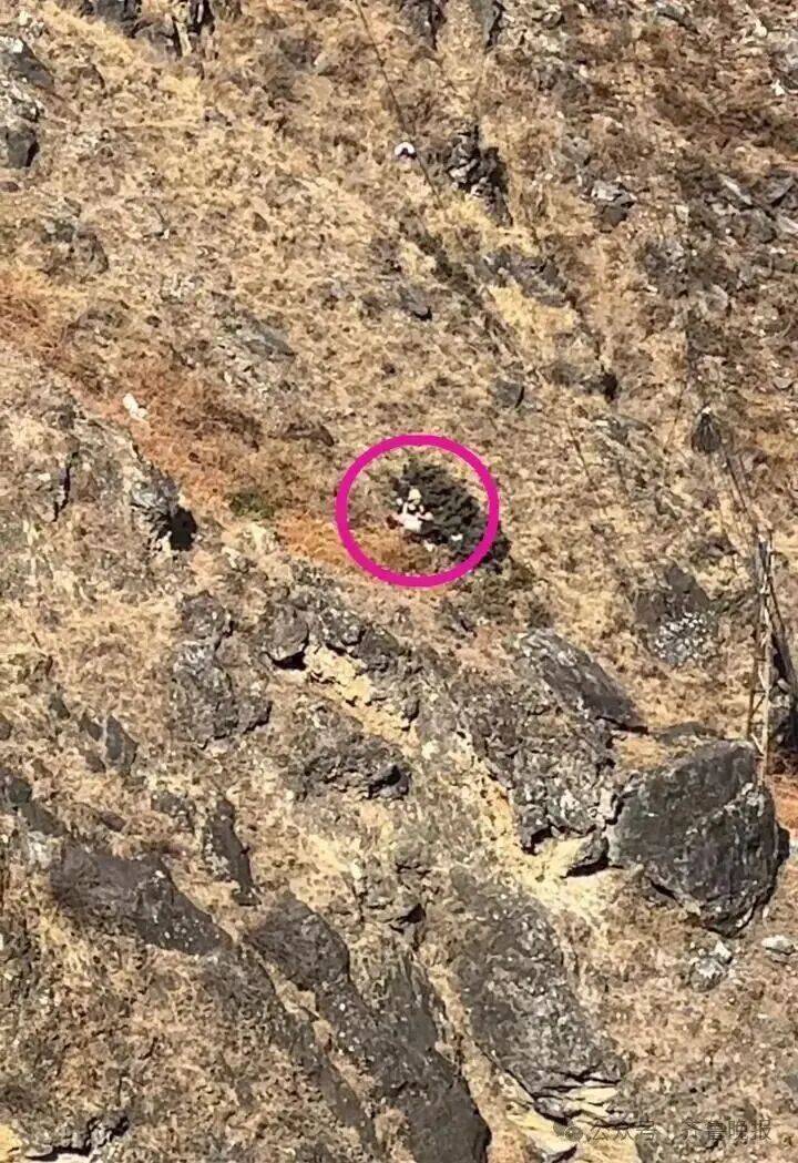 8岁男童大年初五坠崖不幸遇难!虎跳峡景区:事发地属未开放区域 (pic1) 8岁男童大年初五坠崖不幸遇难!虎跳峡景区:事发地属未开放区域 (pic1)