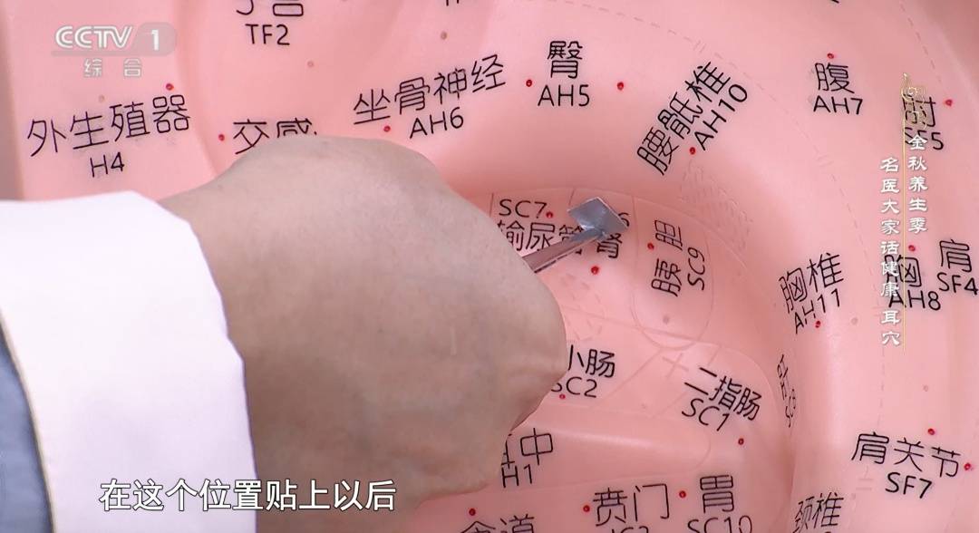 掏耳朵、采耳远比想象中更危险!这些伤害耳朵的行为,你中了几个→ (pic3) 掏耳朵、采耳远比想象中更危险!这些伤害耳朵的行为,你中了几个→ (pic3)