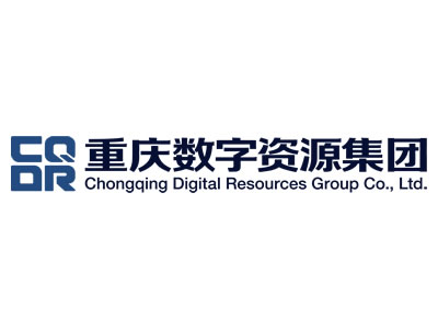重庆数字资源集团有限公司