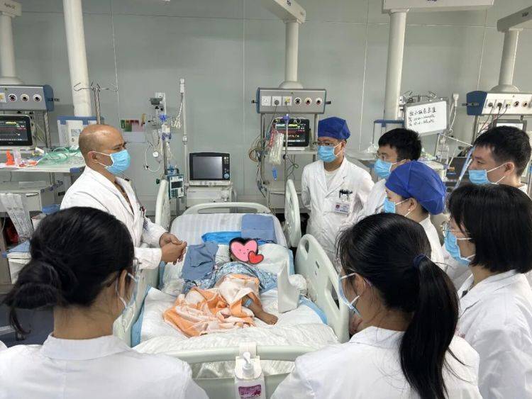 3岁女童在家中被毒蛇咬伤,“假死”3天奇迹生还 (pic1) 3岁女童在家中被毒蛇咬伤,“假死”3天奇迹生还 (pic1)