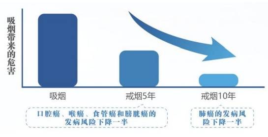国家版“防癌说明书”来了！一半内容与吃有关！快转给家人和朋友吧 (pic2)