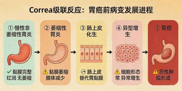 52岁医生从确诊癌症到离世仅2个月,每年体检但忽视了一个项目,医生:这类人群需注意 (pic1) 52岁医生从确诊癌症到离世仅2个月,每年体检但忽视了一个项目,医生:这类人群需注意 (pic1)