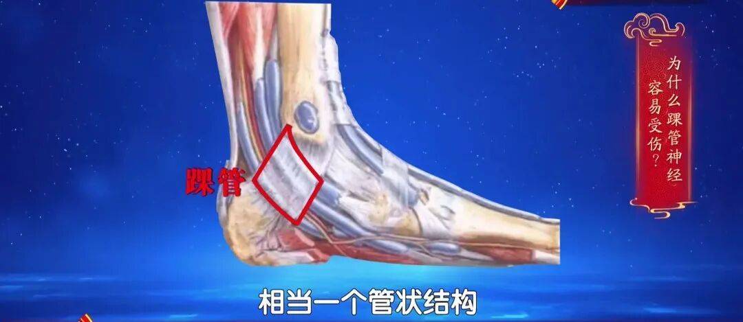 走路多了脚疼不正常?医生:这种疼可能是神经在报警,两个小妙招,轻松护足 (pic4) 走路多了脚疼不正常?医生:这种疼可能是神经在报警,两个小妙招,轻松护足 (pic4)