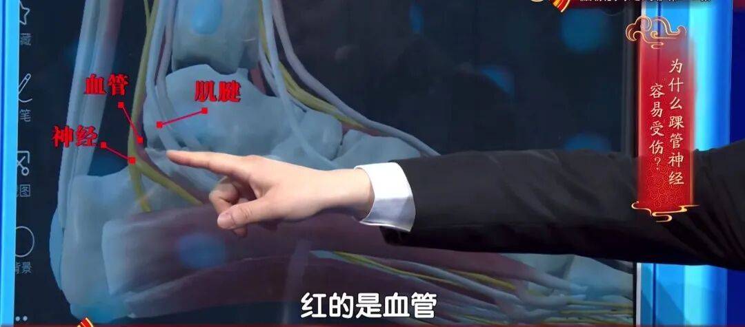 走路多了脚疼不正常?医生:这种疼可能是神经在报警,两个小妙招,轻松护足 (pic5) 走路多了脚疼不正常?医生:这种疼可能是神经在报警,两个小妙招,轻松护足 (pic5)