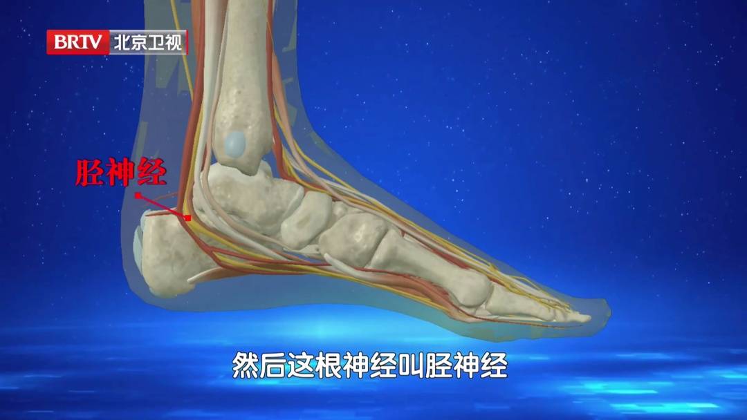 走路多了脚疼不正常?医生:这种疼可能是神经在报警,两个小妙招,轻松护足 (pic6) 走路多了脚疼不正常?医生:这种疼可能是神经在报警,两个小妙招,轻松护足 (pic6)