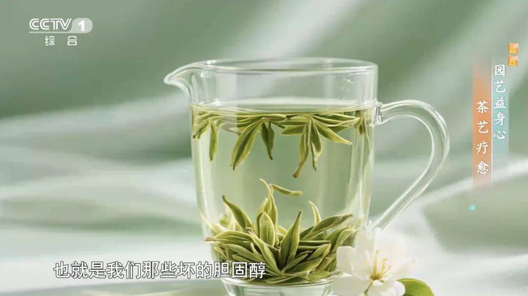 这件让脑子“变傻”的事情,你可能每天都在干,尤其是夏天 (pic2) 这件让脑子“变傻”的事情,你可能每天都在干,尤其是夏天 (pic2)
