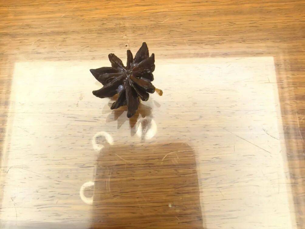 女子买八角数出13个角,一查竟是有毒物,可能致死 (pic1) 女子买八角数出13个角,一查竟是有毒物,可能致死 (pic1)